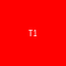 T1